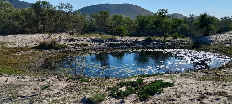 0 Bedroom Property for Sale in Gouritsmond Western Cape